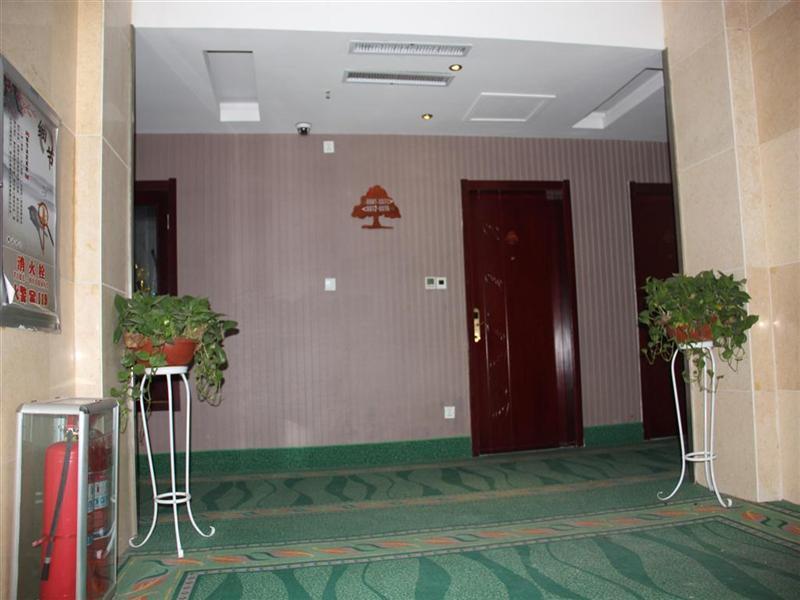 Greentree Inn Shandong Heze Cao County Qinghe Road Business Hotel Eksteriør billede